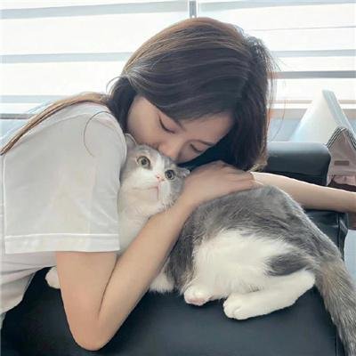美国派9